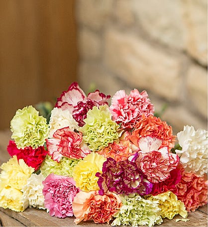 Just Carnations